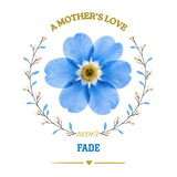 Design 6