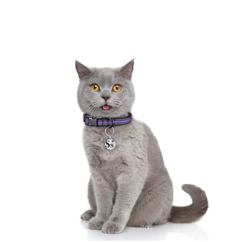 Forever Paw ID Tag — personalized engraved pet tag, close-up