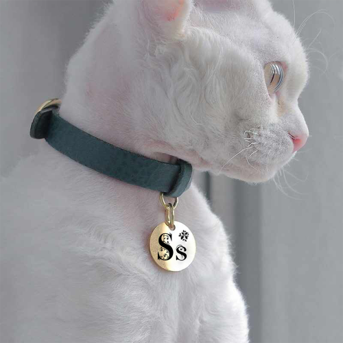 Forever Paw ID Tag - Personalized Engraved Pet ID Tag — alternate view